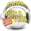 Logo Sistema Pura Vida