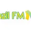 Logo Brazil FM