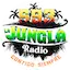 Logo Jungla Radio 593