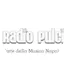 Logo Radio Pulcinella Napoli