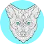 Logo Coyote New Country 103.3 HD2