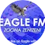 Logo Eagle FM
