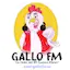 Logo Gallo FM