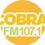 Logo Rádio Cobra FM