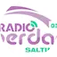 Logo Radio Liberdade Saltinho