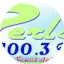 Logo Perla 100.3 FM