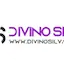 Logo Web Radio Divino Silva