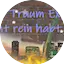 Logo Radio Traum Express