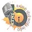 Logo RADIO TÉLÉ NOËL INFO