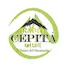 Logo Radio Cepitá On Line