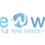 Logo 94.3 & 95.3 The Well