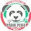 Logo Radio Piave