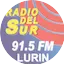 Radio Del Sur