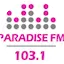Logo Paradise 60s & 70s