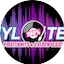 Logo VinylTeam.NL