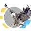 Logo EOA RADIO