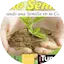 Logo Radio Semillas