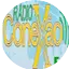 Logo Rádio conexão fm