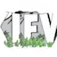 Logo 1230 KIFW