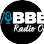 Logo WIBBER