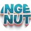 Logo Ginger and Nuts