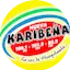 Logo La Nueva Karibeña