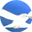 Logo Rádio Novo Paraíso FM