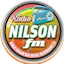Logo Rádio Nilson FM