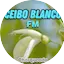 Logo Ceibo Blanco FM
