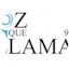 Logo La Voz Que Clama 99.5FM