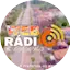 Logo Web Radio Pedro Rosário