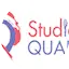 Logo Radio Qualita