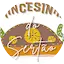 Logo Rádio Princesinha Do Sertão