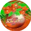 Logo Radio Junior Noël