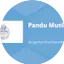 Logo Pandu Musik Radio