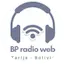 Logo BP Radio Web