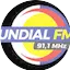 Logo Rádio Mundial 91.1 FM