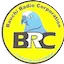 Logo BRC FM Alkaleri