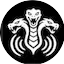 Logo Hydra Rise Radio