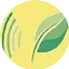 Logo Frequence Grand Sud 82