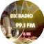 Logo DX Radio 99.1 FM