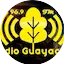 Logo Radio Guayacán FM