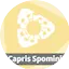 Logo Radio Capris Spomini