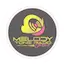 Logo Melody Tone Radio