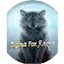 Logo Sigma Fox Radio