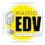 Logo Radio Esperanza De Vida