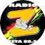 Logo Radio Zeta