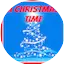 Logo A Christmas Time