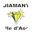 Logo Diamant VDA