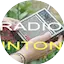 Logo Radio Sintonia